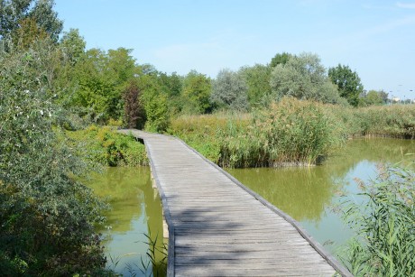 A Sóstó vízutánpótlását tanulmányozták az alföldi városok Fehérváron